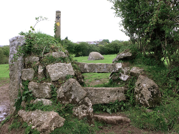 Walking Bodmin Moors